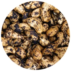 Cashewpähkinä Musta valkosipuli, luomu
