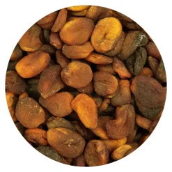 Kuivattu luomu aprikoosi