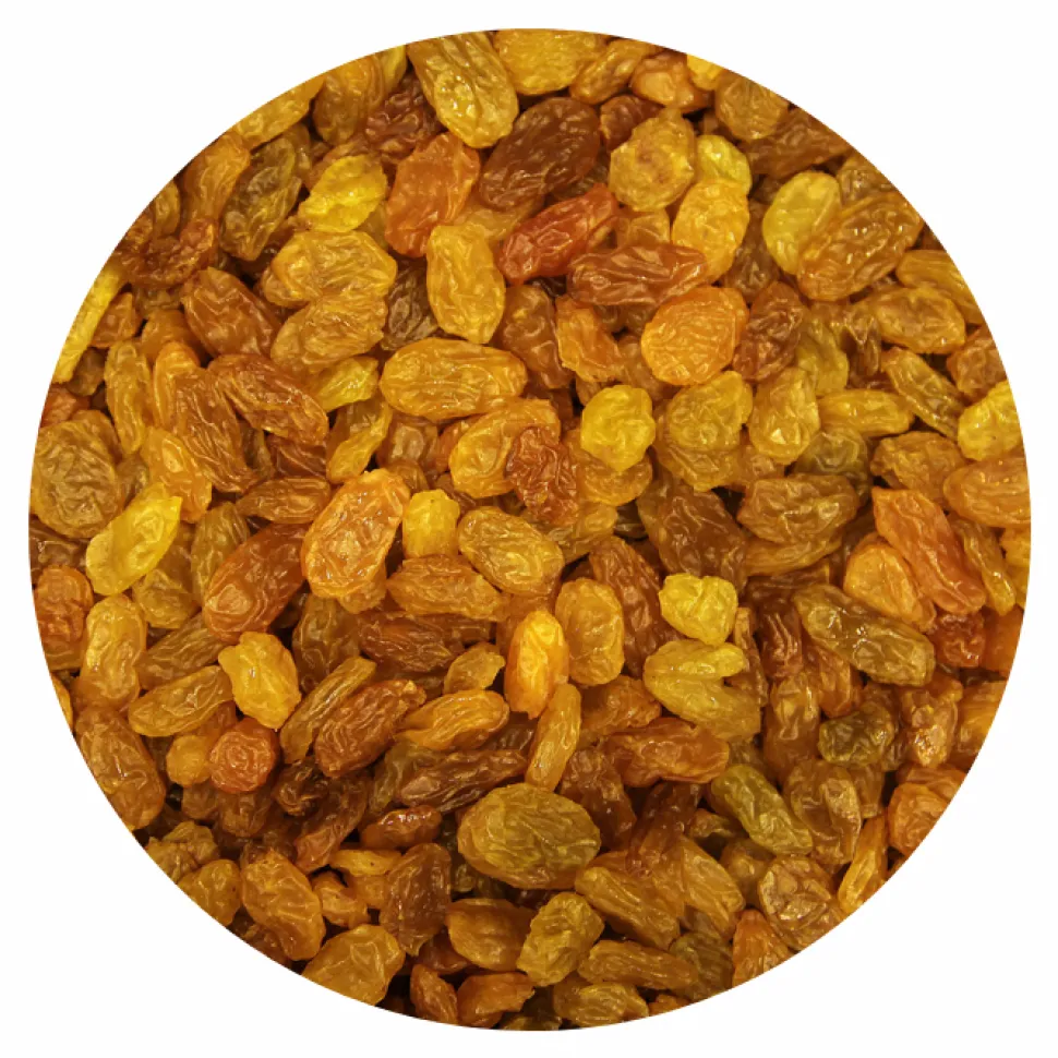 Kultainen jumborusina