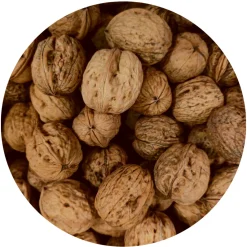 Saksanpähkinä, kuorellinen